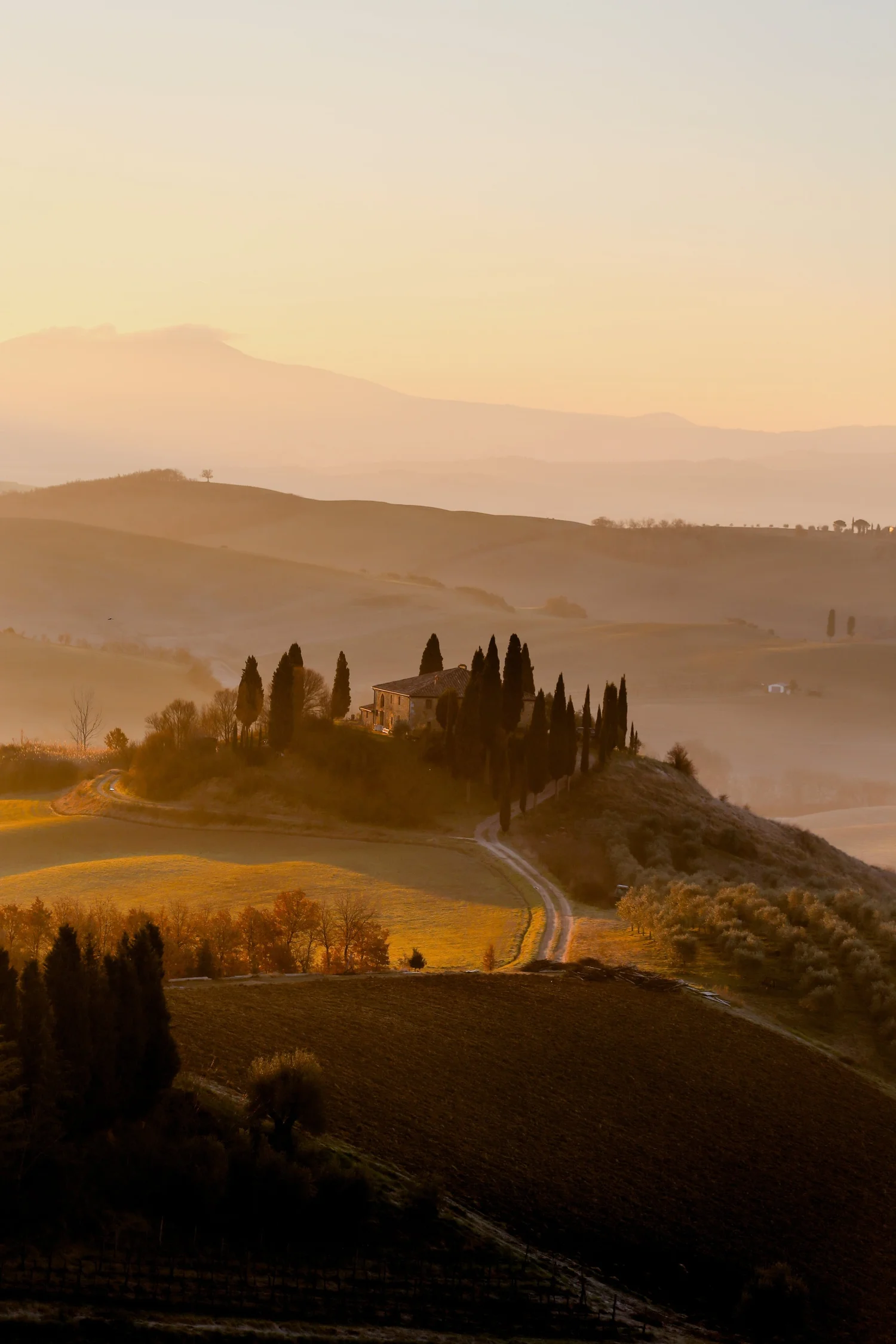 giuseppe-mondi-fJWYwHWYQpY-unsplash-min.jpg