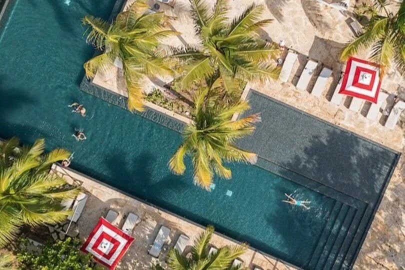 Birds eye view of luxury swimming pool surrounded by palm trees