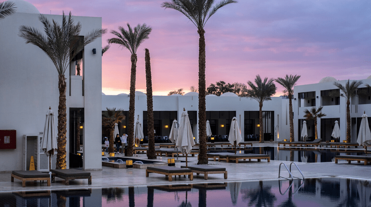 The Best Marketing Automation Software For Hotels